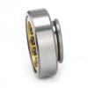 N221M Single row cylindrical roller bearings #3 small image
