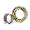 N321EM Single row cylindrical roller bearings #3 small image